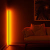 TULITE Modern Smart Floorlamp